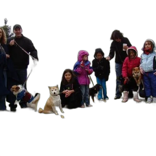 staff, group, people, their, dogs, gather, park, cloudy transparent PNG cut-out