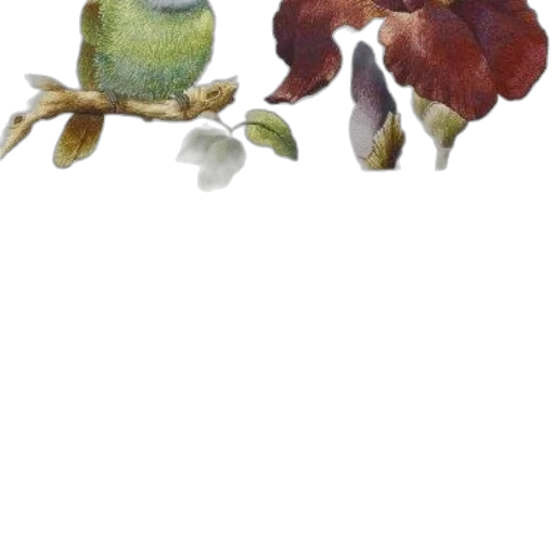 hat, flower, food, crown, watercolor, photorealistic, concept art, oil painting transparent PNG cut-out