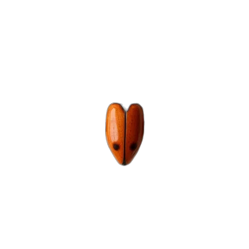 food, animal, furniture, face, pixel art, 3d render, photorealistic, concept art transparent PNG cut-out