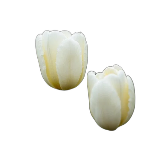 crown, jewelry, flower, food transparent PNG cut-out