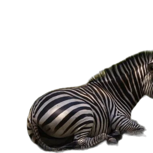animal, creature, dragon, photorealistic, 3d render, concept art, two, zebras transparent PNG cut-out