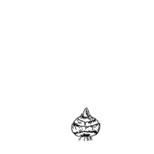 crown, hat, creature, flower transparent PNG cut-out