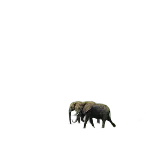 animal, creature, hair, furniture, 3d render, concept art, pixel art, photorealistic transparent PNG cut-out