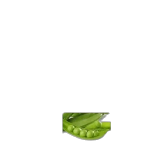 shoes, dragon, animal, weapon, 3d render, photorealistic, pixel art, concept art transparent PNG cut-out