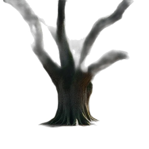 tree, hair, creature, crown transparent PNG cut-out