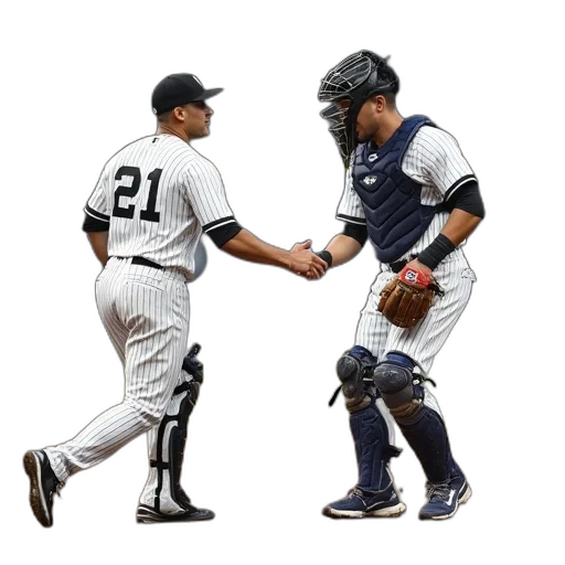 monochrome, yankees, catcher, congratulating transparent PNG cut-out