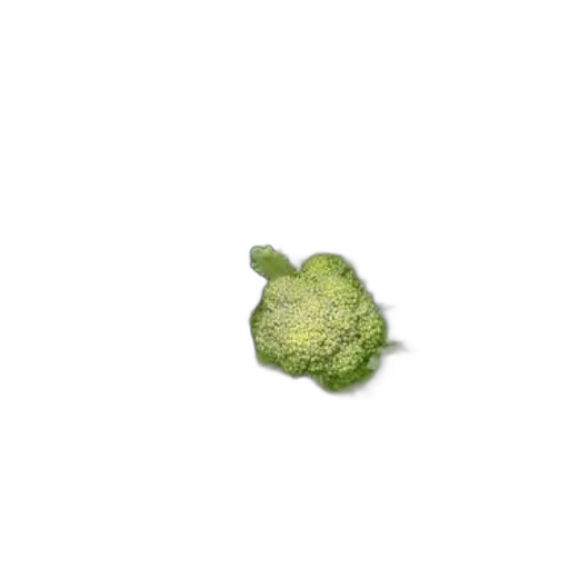 food, flower, hair, hat, pixel art, photorealistic, 3d render, concept art transparent PNG cut-out