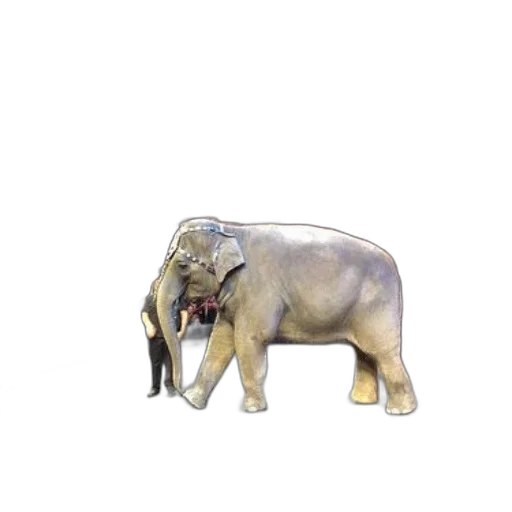 animal, creature, staff, jewelry, 3d render, concept art, photorealistic, watercolor transparent PNG cut-out