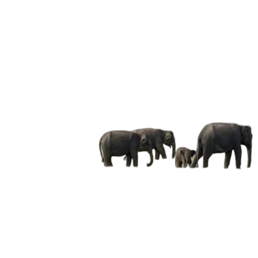 animal, furniture, jewelry, creature, 3d render, concept art, photorealistic, pixel art transparent PNG cut-out