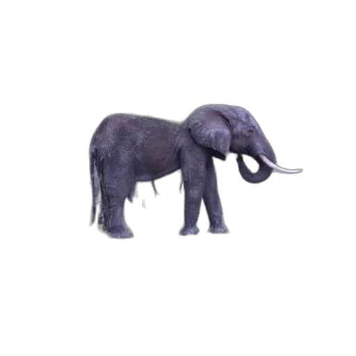 animal, creature, staff, weapon, 3d render, concept art, photorealistic, oil painting transparent PNG cut-out
