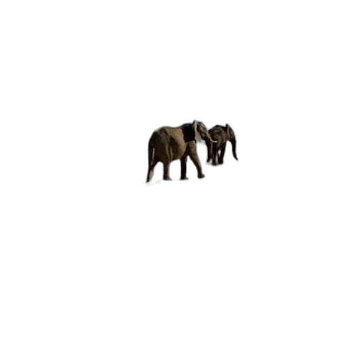 animal, creature, furniture, hair, pixel art, concept art, 3d render, photorealistic transparent PNG cut-out