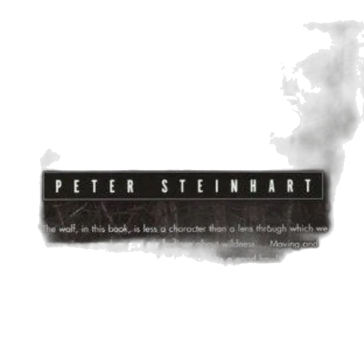concept art, cover, company, wolves, peter, steinhart, features, woods transparent PNG cut-out