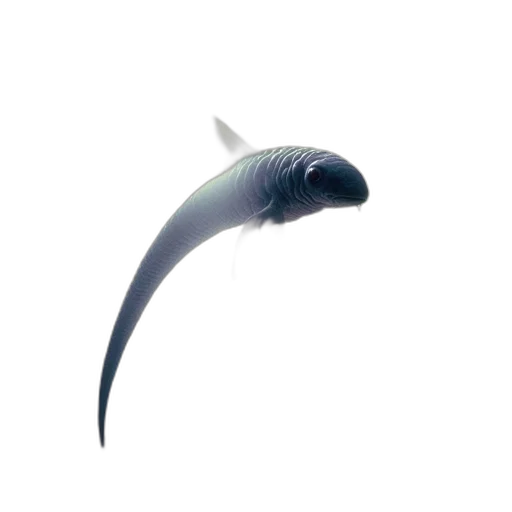 animal, staff, creature, weapon, 3d render, concept art, photorealistic, fantasy art transparent PNG cut-out