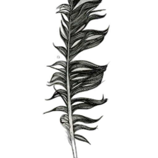 staff, flower, weapon, sword, concept art, 3d render, photorealistic, pencil sketch transparent PNG cut-out