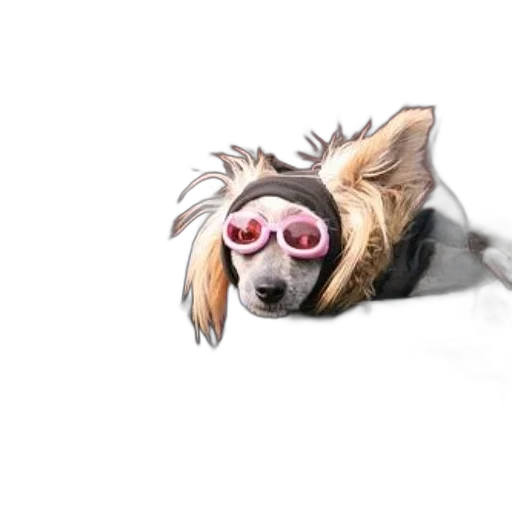 animal, creature, staff, mask, concept art, watercolor, photorealistic, 3d render transparent PNG cut-out