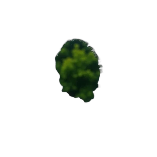 tree, crown, face, mask, 3d render, pixel art, photorealistic, concept art transparent PNG cut-out