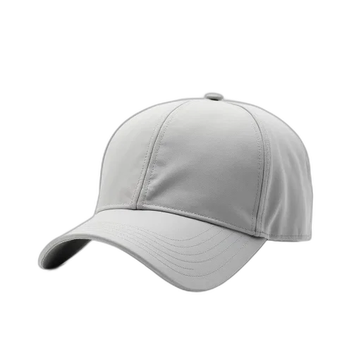 hat, staff, crown, jacket, 3d render, photorealistic, plain, silver transparent PNG cut-out