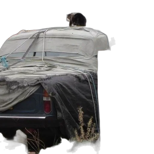 car, jacket, dress, umbrella, concept art, photorealistic, underwater, rain transparent PNG cut-out