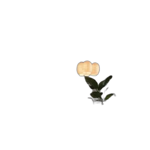 flower, food, hat, animal transparent PNG cut-out