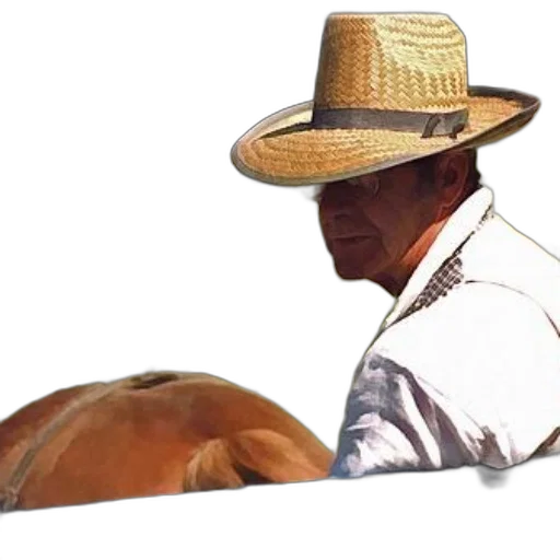 hat, animal, mask, staff, photorealistic, oil painting, concept art, 3d render transparent PNG cut-out