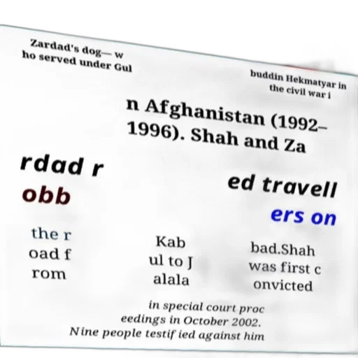 vaporwave, document, text, about, zardad, dog, serving, under transparent PNG cut-out