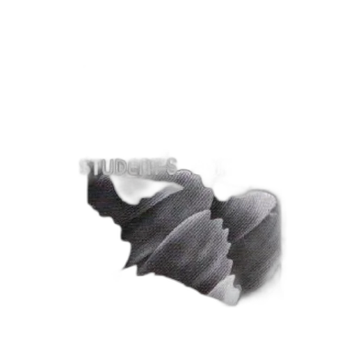 shoes, umbrella, crown, hair, 3d render, photorealistic, vaporwave, pencil sketch transparent PNG cut-out