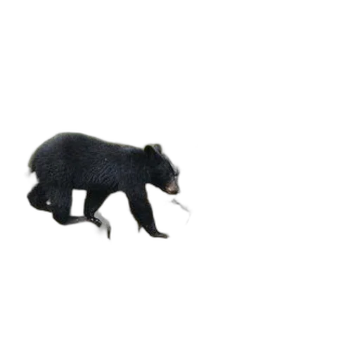 animal, creature, staff, weapon, 3d render, concept art, photorealistic, pixel art transparent PNG cut-out