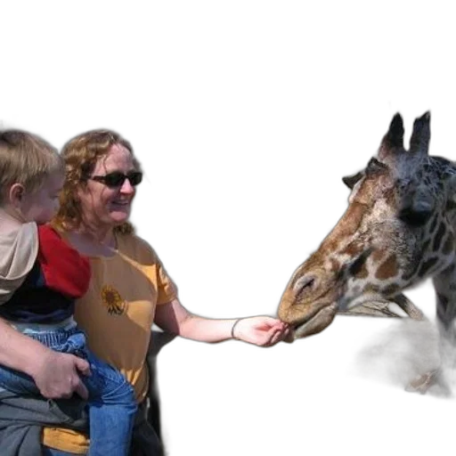 animal, creature, dragon, mask, photorealistic, woman, child, feed transparent PNG cut-out