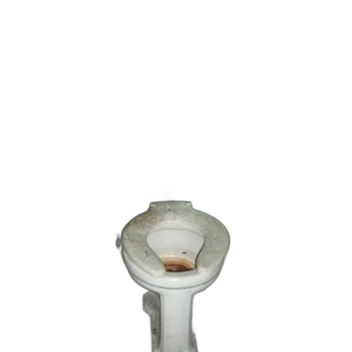 staff, bottle, jewelry, crown, 3d render, dirty, white, toilet transparent PNG cut-out