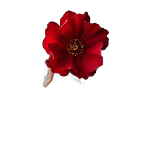flower, crown, jewelry, staff, 3d render, pixel art, photorealistic, concept art transparent PNG cut-out