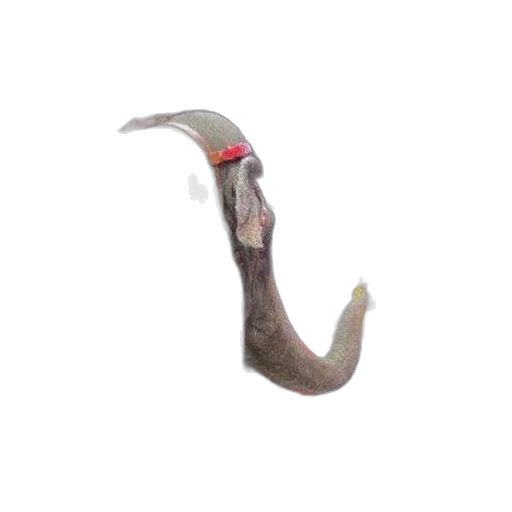 animal, creature, dragon, staff, 3d render, concept art, photorealistic, pixel art transparent PNG cut-out