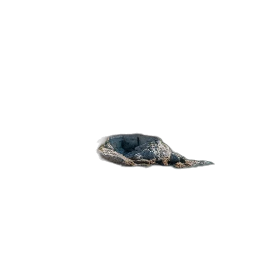 animal, hat, shoes, hair, photorealistic, 3d render, apartments, idyllic transparent PNG cut-out
