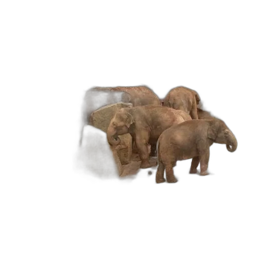 animal, furniture, jewelry, creature, 3d render, concept art, photorealistic, oil painting transparent PNG cut-out