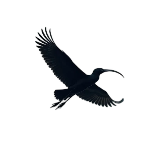 animal, staff, dragon, jewelry, concept art, fantasy art, photorealistic, 3d render transparent PNG cut-out