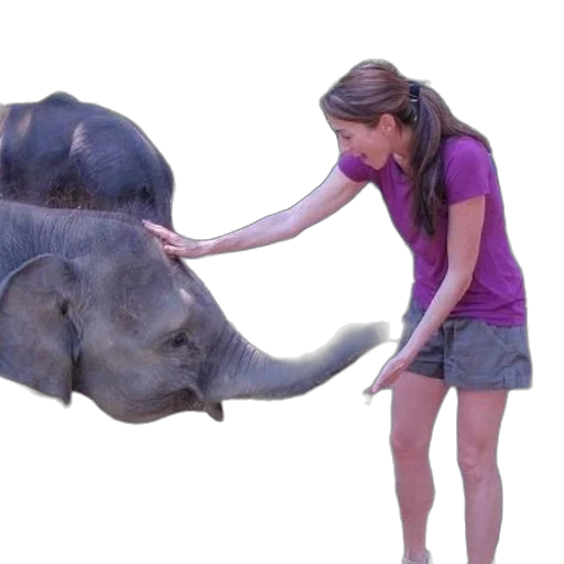 animal, creature, umbrella, staff, woman, purple, shirt, pets transparent PNG cut-out