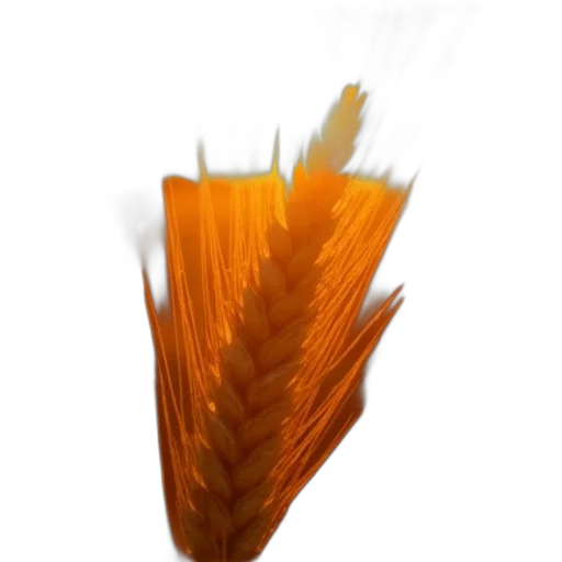 hair, flower, food, weapon transparent PNG cut-out
