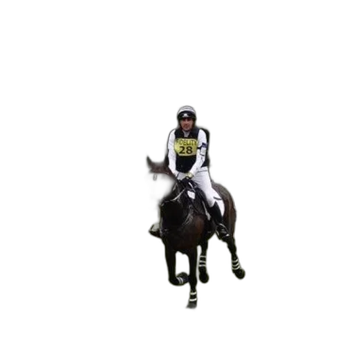 animal, pixel art, rider, horseback, grassy, field, cars, trees transparent PNG cut-out