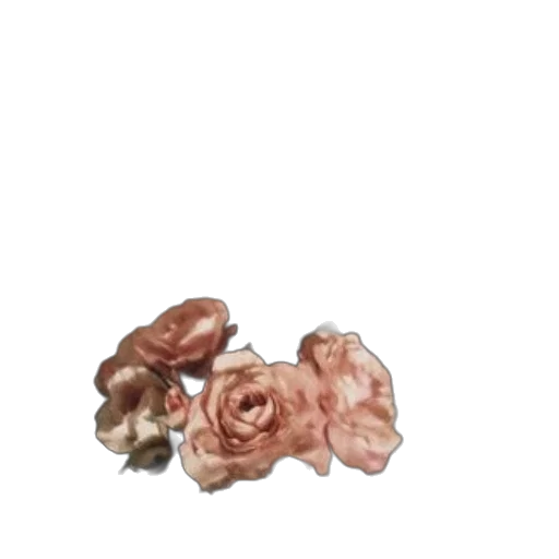 flower, jewelry, crown, food, 3d render, photorealistic, oil painting, watercolor transparent PNG cut-out