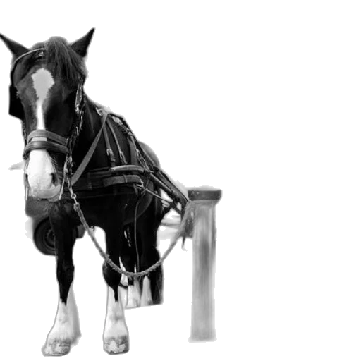 animal, staff, furniture, weapon, photorealistic, pencil sketch, 3d render, concept art transparent PNG cut-out