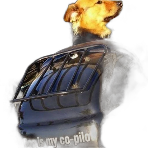robot, jacket, animal, bottle transparent PNG cut-out