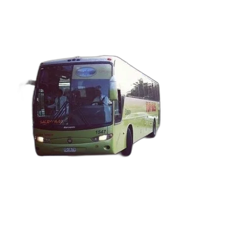 staff, car, animal, 3d render, photorealistic, concept art, green, bus transparent PNG cut-out