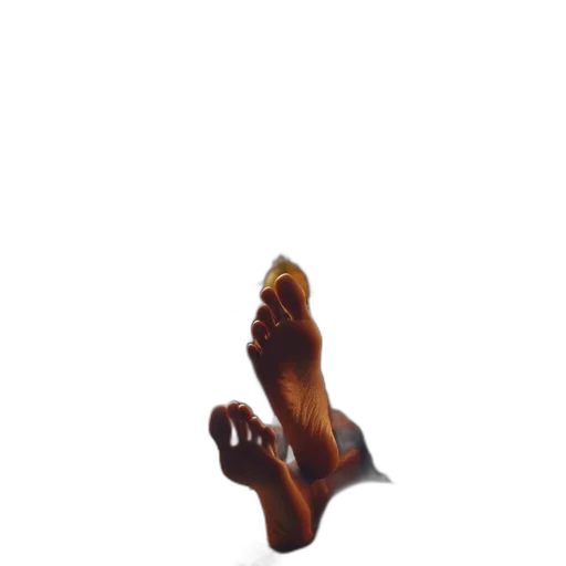 shoes, staff, jewelry, food, 3d render, photorealistic, oil painting, concept art transparent PNG cut-out
