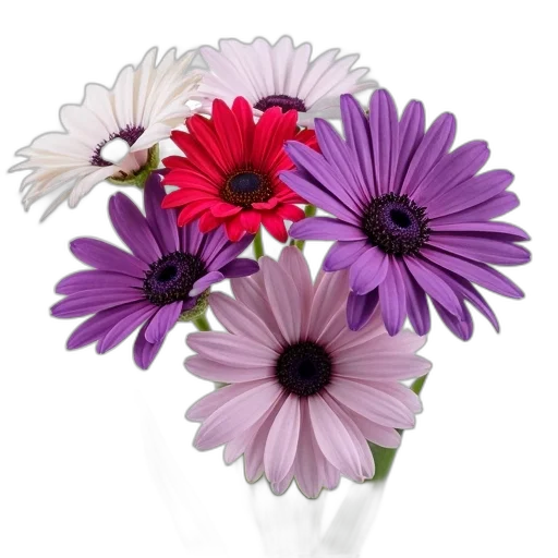 flower, jewelry, crown, photorealistic, 3d render, colorful, monochrome, bouquet transparent PNG cut-out