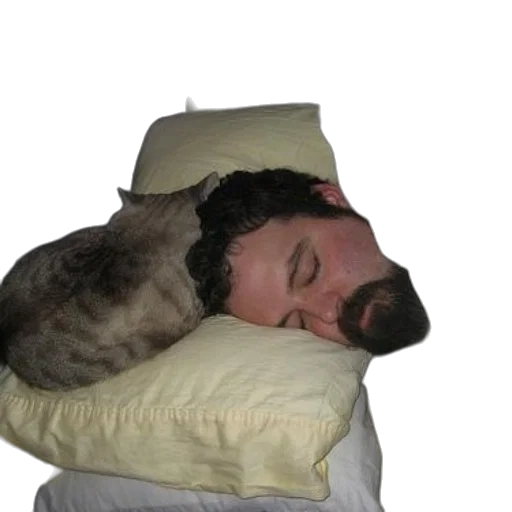 creature, animal, hat, mask, photorealistic, man, his, cat transparent PNG cut-out