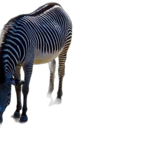 animal, creature, furniture, hat, 3d render, concept art, photorealistic, two transparent PNG cut-out