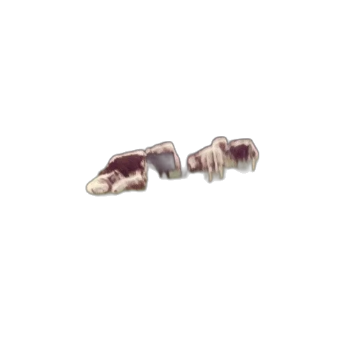 jewelry, herd, cows, graze, field, trees, background transparent PNG cut-out