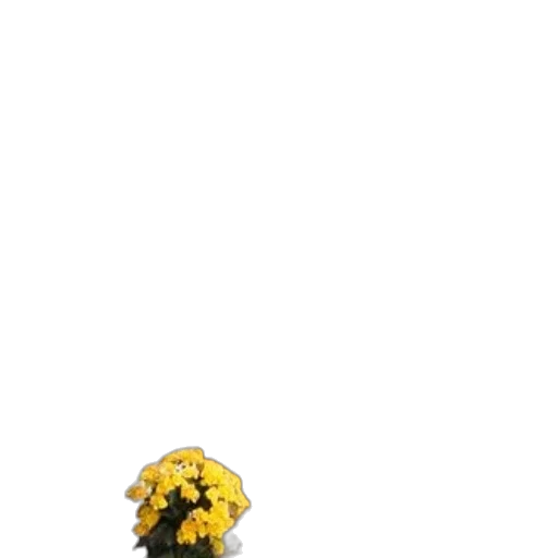 flower, tree, dress, crown transparent PNG cut-out