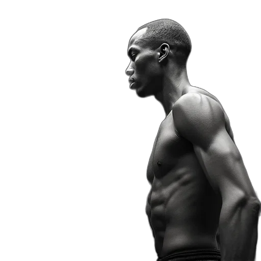 photorealistic, concept art, damian, butler, closely, guarded, gerald, williams transparent PNG cut-out