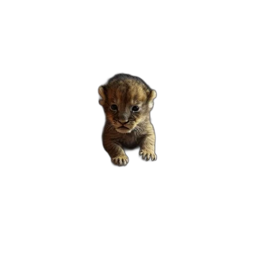 animal, creature, staff, face, pixel art, photorealistic, 3d render, concept art transparent PNG cut-out