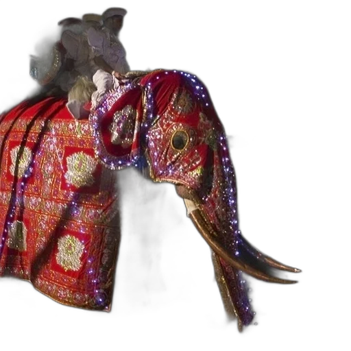 jacket, animal, dragon, umbrella transparent PNG cut-out